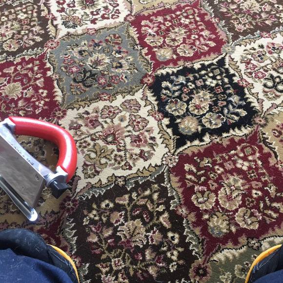 Meet your Posher, Cecilio - Picture 1 of 1